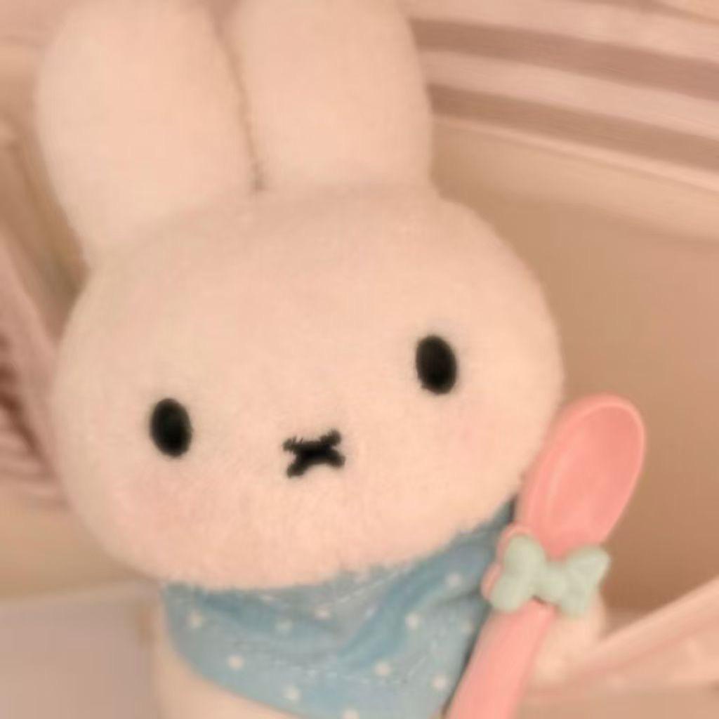 Miffy plushie